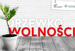 Niespodzianka dla małych warszawiaków. "Odbierz sadzonkę dębu ze swoim imieniem"