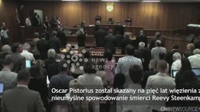 Oscar Pistorius skazany na pięć lat więzienia