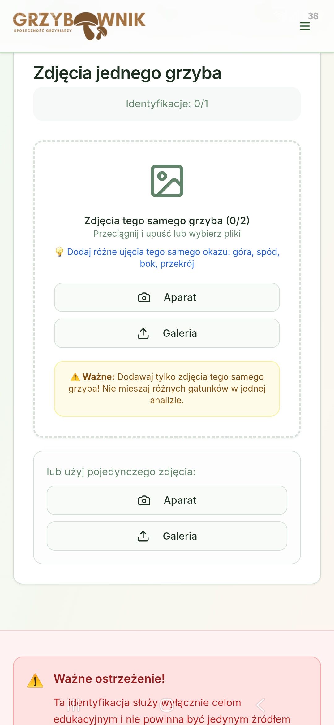 Grzybownik 