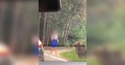 Chciała selfie z misiem. Niedźwiedź zaatakował turystkę