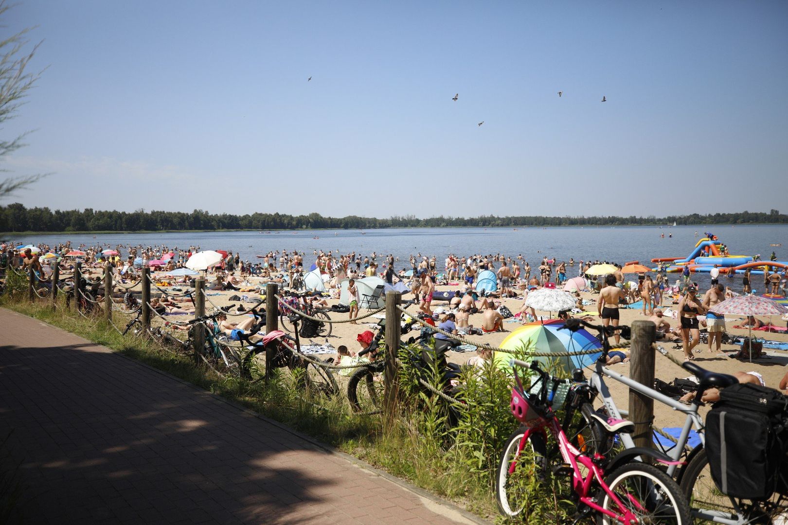 Pogoria w Dąbrowie Górniczej