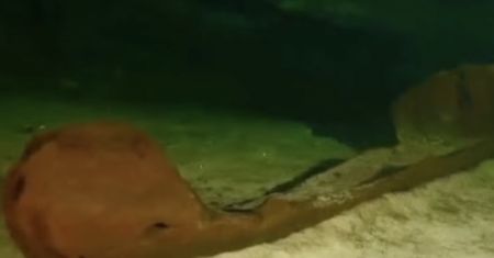 Meksyk. Niesamowite odkrycie archeologów w pobliżu ruin Chichen Itza
