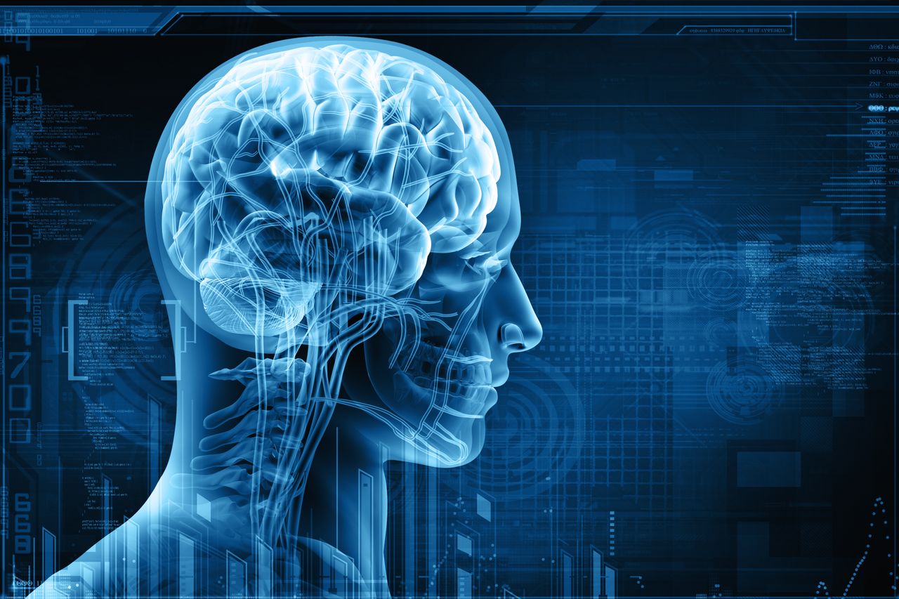Hodowlane „mózgi w słoikach”, by stworzyć prawdziwą sztuczną inteligencję