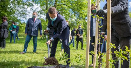 Warszawa. Symboliczne jabłonie na Polach Mokotowskich na święto samorządów