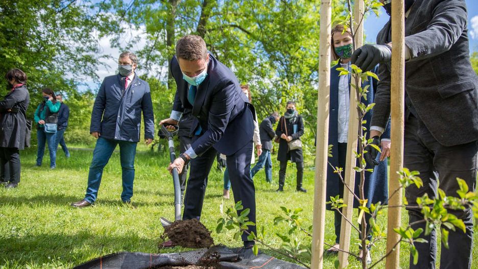 Warszawa. Z okazji święta samorządów posadzono symboliczne jabłonie