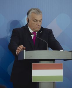 Problemy Węgrów. Powiedzieli to na nocnej konferencji