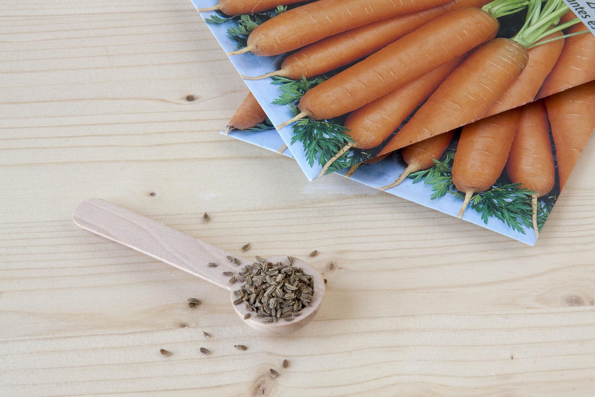 Nasiona marchwi możemy spożywać w sałatkach i na kanapkach