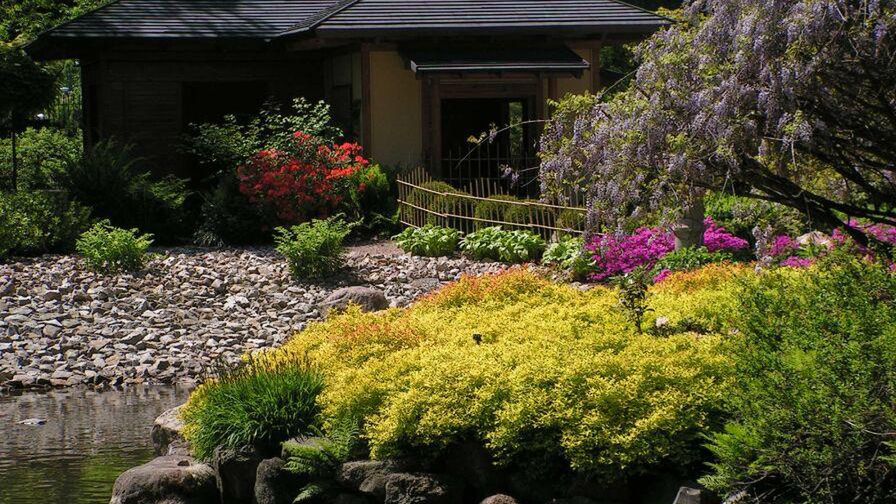 Ogród Japoński