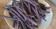 Fioletowa fasolka wygląda jak zepsuta. Użyłam jej w kuchni pierwszy raz