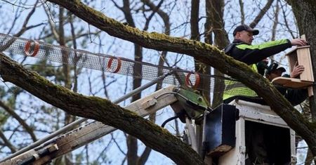 Niesamowita inicjatywa w Łodzi. Internauci pokochali most dla wiewiórek