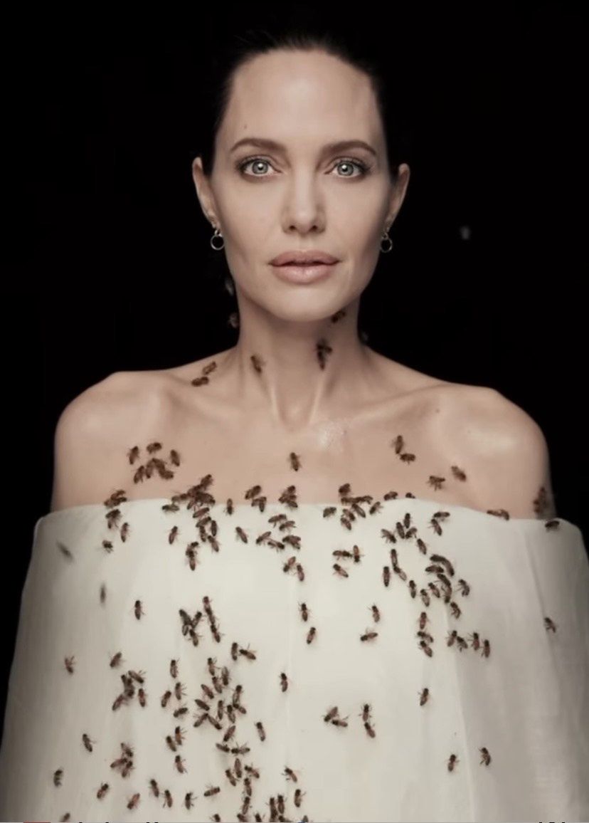 Angelina Jolie pozuje z pszczołami