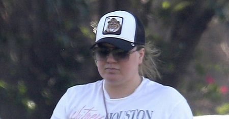 Kelly Clarkson zabrała dzieci do parku. Trudno było rozpoznać wielką gwiazdę
