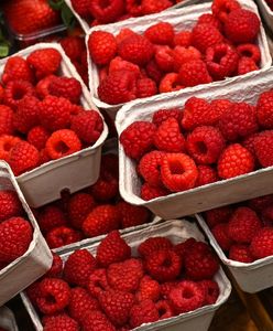 Rolnicy o patologii na rynku. Jest problem z malinami