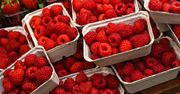 Rolnicy o patologii na rynku. Jest problem z malinami