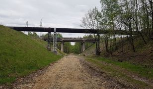 Katowice. Rowerzyści się ucieszą, pomkną velostradą