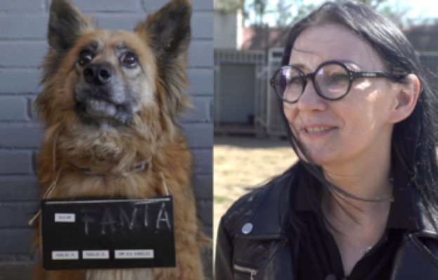 Kundelek Tygodnia: odwiedziliśmy psie gwiazdy czekające na dom (WIDEO)