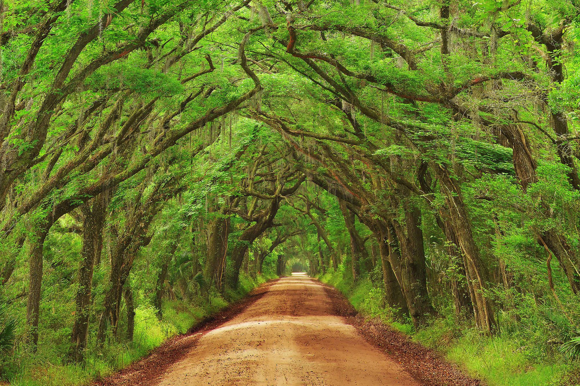 Przedstawiamy galerię zdjęć wyróżnionych w konkursie U.S.A. Landscape Photographer of the Year 2015 16