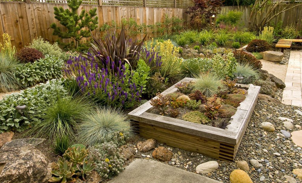 Jak radzić sobie z suszą w ogrodzie?
