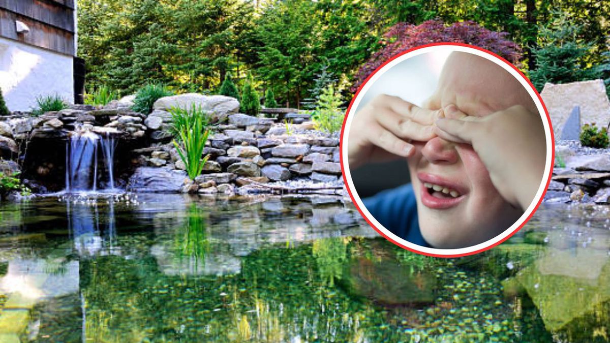 Ośmiolatek wpadł do stawu sąsiada. Ryby "zdechły ze stresu"