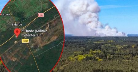 Wielki pożar w Holandii. Dym widać z wielu kilometrów