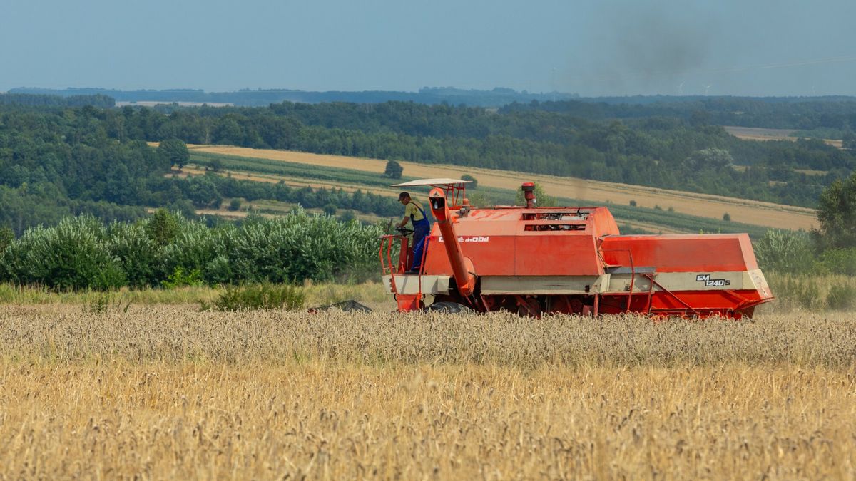 Niecały milion ton zbóż wwieziono do Polski z Ukrainy 