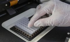 Koronawirus. Pierwsza "czerwona strefa" na Mazowszu - powiat lipski. Wołomin i Otwock na liście ostrzegawczej