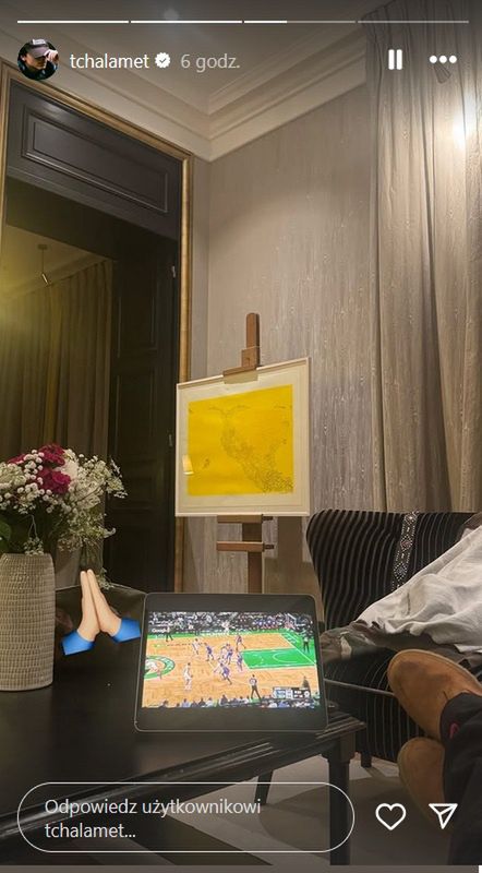 Timothée Chalamet oglądał mecz podczas Gali Met 