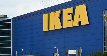 Protest w Ikei. Ekolodzy: 180-letnie drzewa idą pod nóż