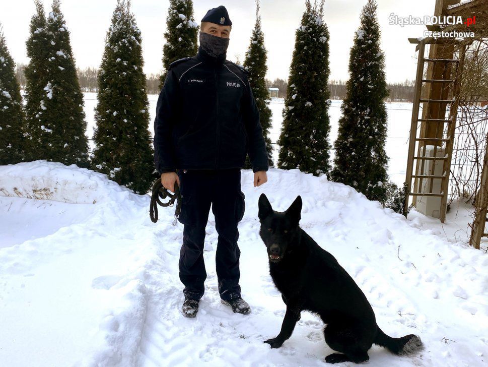 Częstochowa. Skrył się przed policjantami, ale nie przed psem