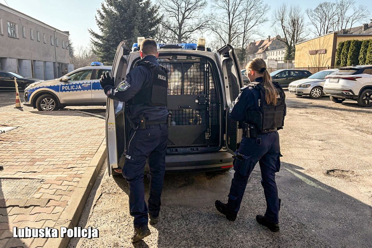 Rozbój w Kargowej. 35-latek aresztowany po ataku na 63-latka