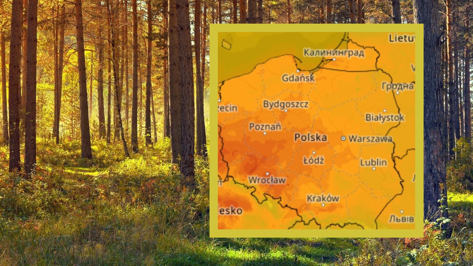 Prognoza pogody