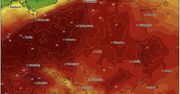 To już pewne: w weekend dotrze do nas pierwsza fala upałów. IMGW alarmuje