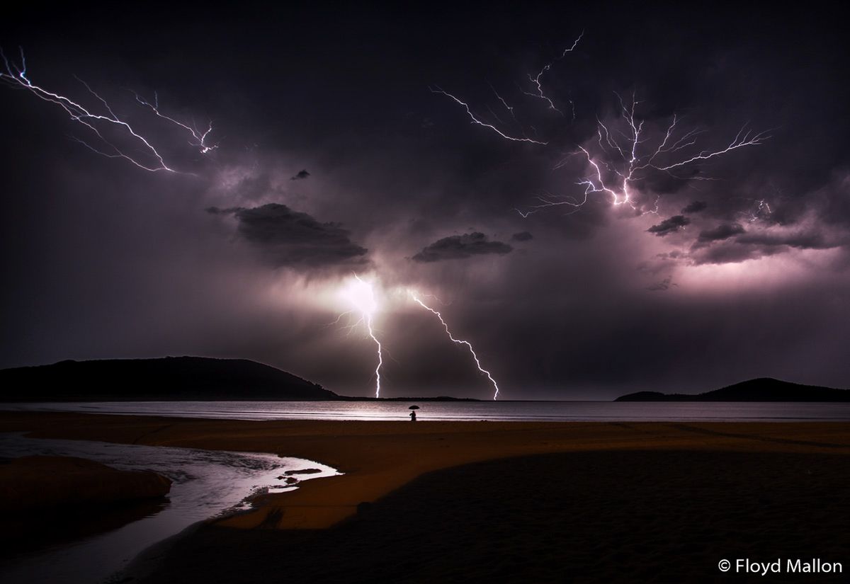 Znamy zwycięzców Australian Geographic Nature Photographer of the Year 2019 7