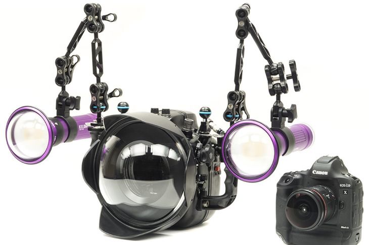 Canona 1DX Mark II - jeden z najlepszych, także pod wodą 2