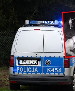 Złodzieje zastosowali zaskakującą metodę. Wystarczyło 70 sekund