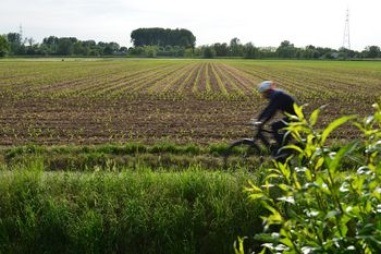 Tragedia w Belgii. 50-letni Polak zmarł na plantacji