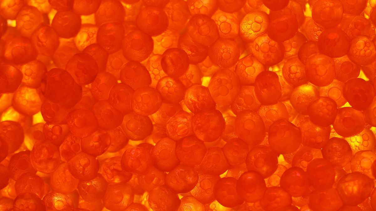 E123 jest dodawany m.in. do kawioru