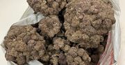 Warszawa: Posiadał kilogram narkotyków - tymczasowy areszt