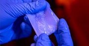 Plastik z bakterii. Może zrewolucjonizować tradycyjne tworzywa