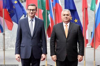 Zakaz importu zboża z Ukrainy. Słowacja i Węgry idą w ślady Polski