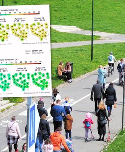 Przedsmak lata w kwietniu. Synoptycy mają już prognozy pogody