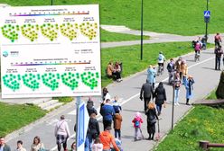 Przedsmak lata w kwietniu. Synoptycy mają już prognozy pogody
