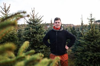 Poznań: Żywe choinki prosto z plantacji. "Ty wybierasz, my wycinamy"