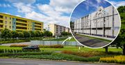 Wielka przebudowa centrum Piły. Popłynie struga wodna i powstanie nowa zieleń