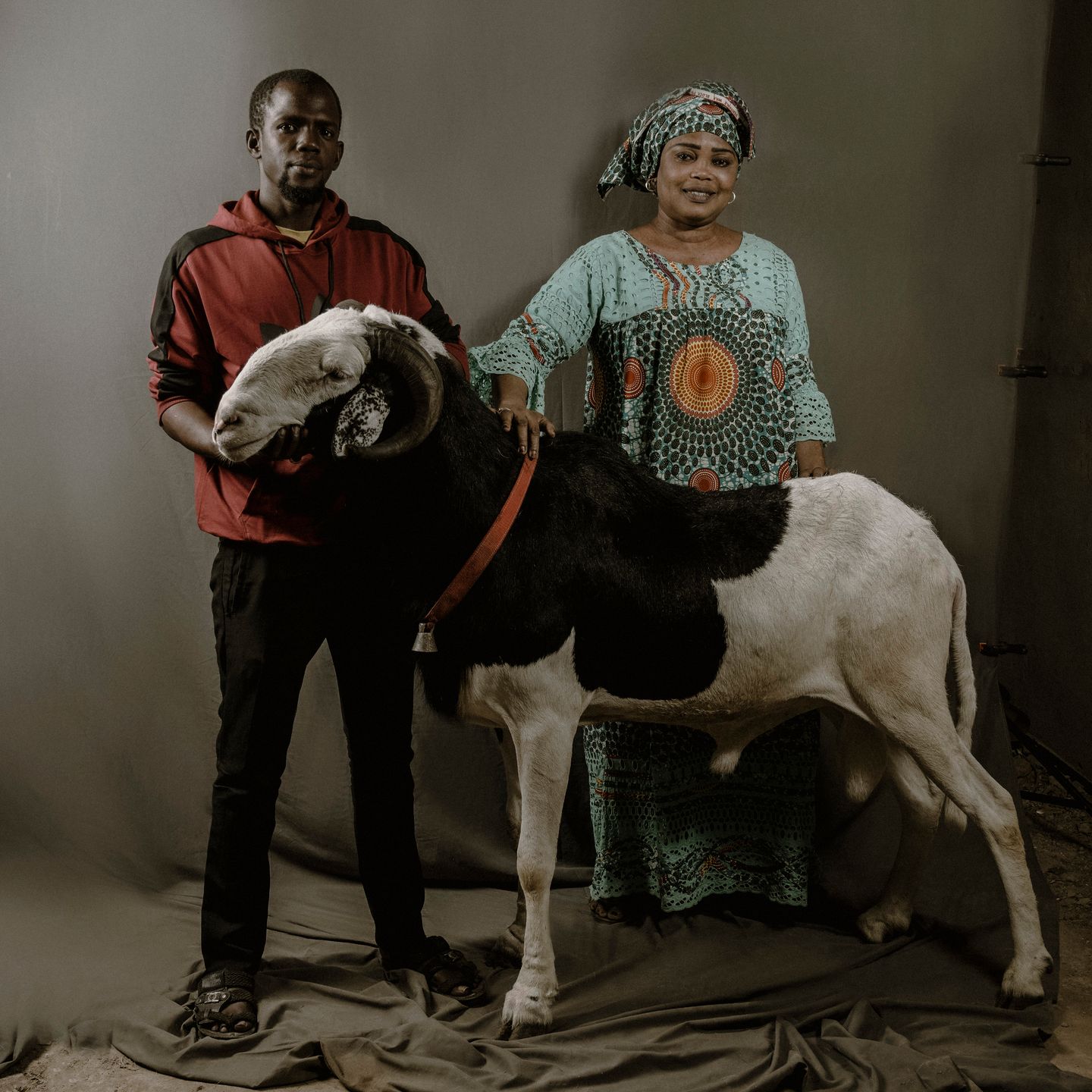 Nowa moda w Senegalu. Ludzie inwestują w... luksusowe owce 11