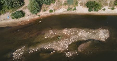 Tajemnicza czaszka wyłowiona z Wisły. Śledczy ujawniają