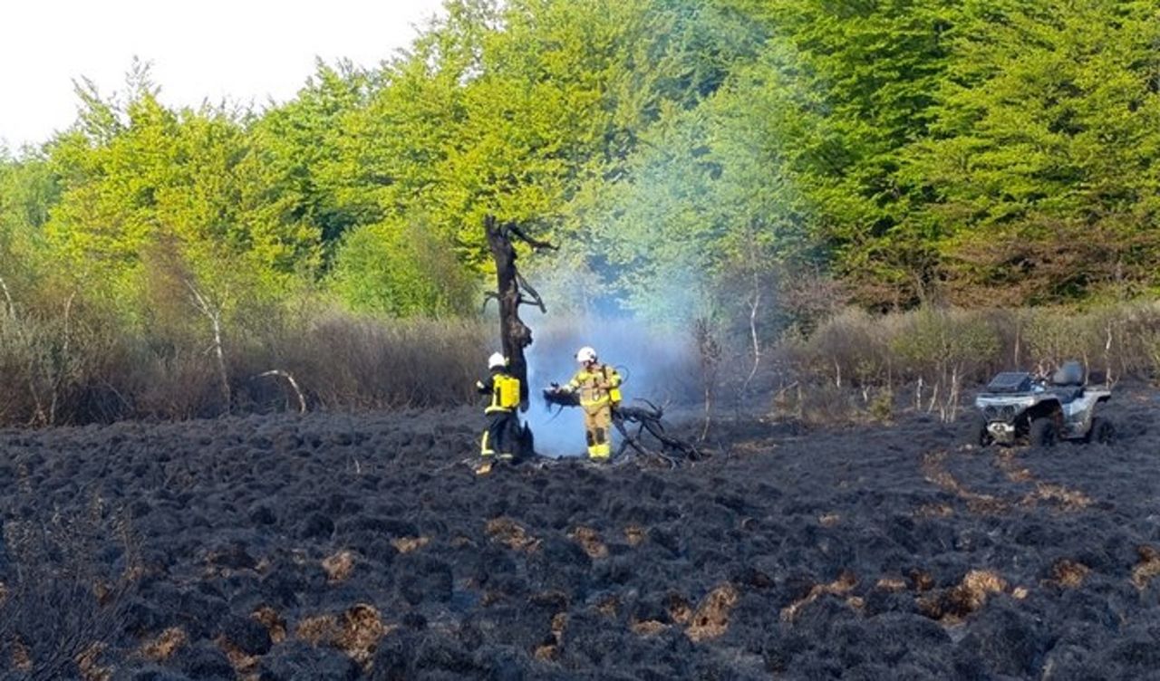 5 tys. zł za pomoc w ujęciu podpalacza lasów. "Działanie z premedytacją"