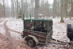 Wrocław. Natura nas osacza, straż miejska uratuje. I ludzi, i zwierzęta