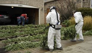 Miliardy dolarów wyrzucone w błoto. "Czas skończyć wojnę z narkotykami"