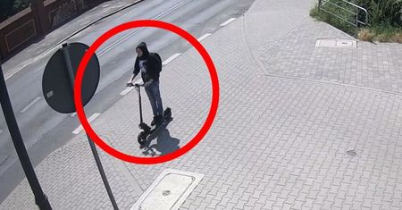 Jechał na hulajnodze i potrącił psa. Zwierzę zginęło na miejscu